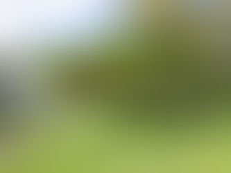Concurso fotográfico Clique Verde está com inscrições abertas em Itu
