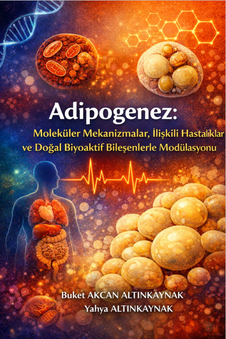 Adipogenez: Moleküler Mekanizmalar, İlişkili Hastalıklar ve Doğal Biyoaktif Bile