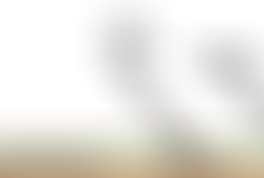 Why Do Taxpayers Pay a $55/month Subsidy for each BCHD CHF Member - Resident or Non-Resident?