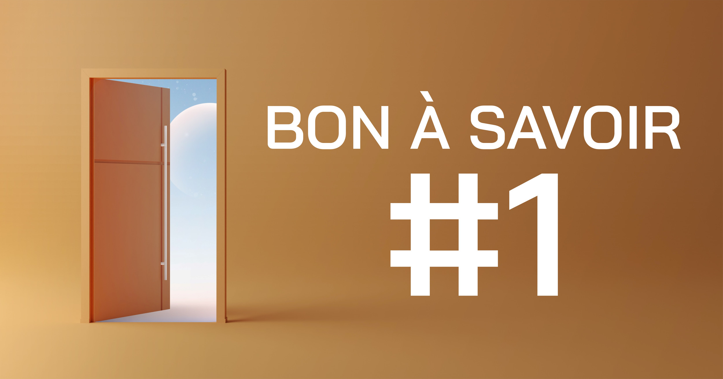 Bon à Savoir #1 | À Lire Absolument | Blog | SwissPlatz