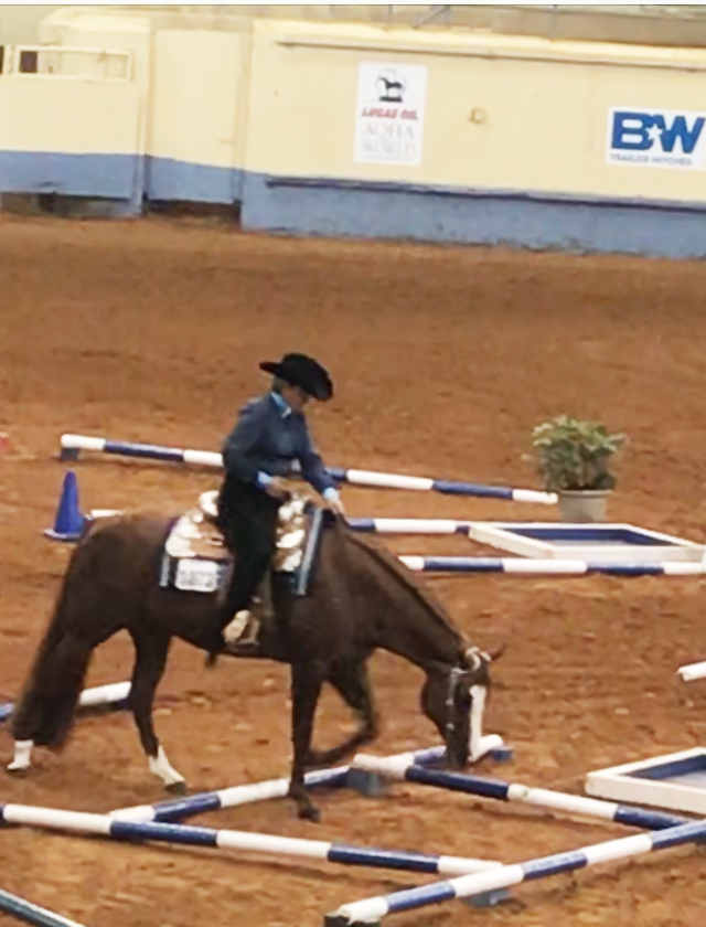 Michelle Tidwell at World Show 2017