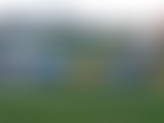 Shady Bowl Speedway - Door Closer - This weekend Saturday 9/30!