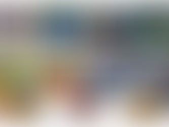 Champ Pans: Proud Supporter of Grassroots Racing!