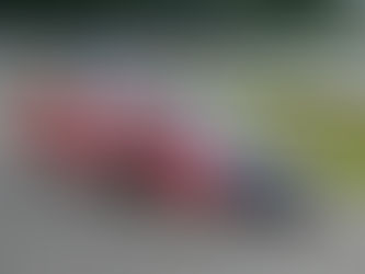 NASCAR Star Plans Shady Bowl Appearance