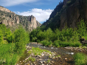 Gila National Forest