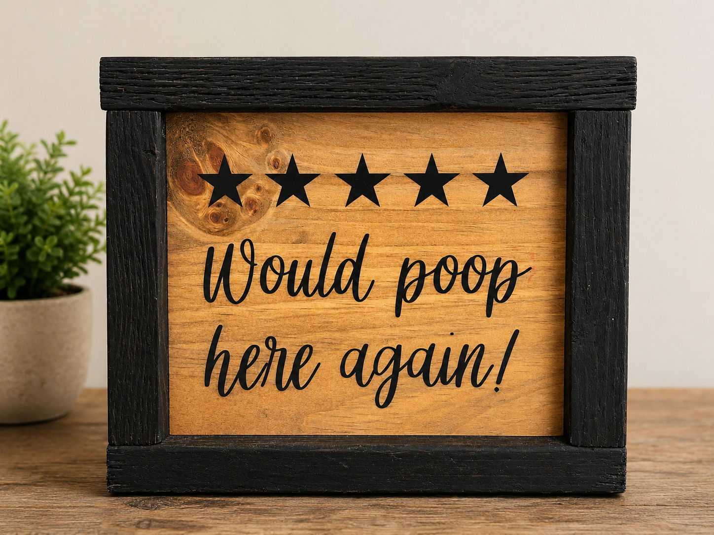 5 Stars