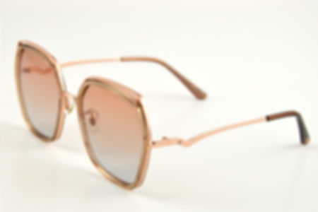 INKOGNITO Polarized Sunglasses S4007 C
