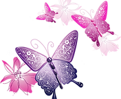 butterfly_edited.png