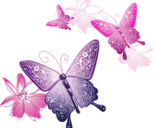 butterfly_edited.png