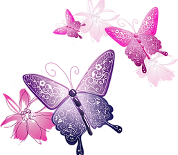 butterfly_edited.png