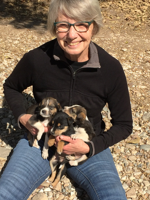 FOM Animal Rescue