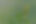 pexels-lumn-295771_edited.jpg