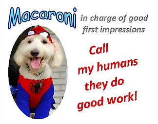 Macaroni with Text (2) (1).png