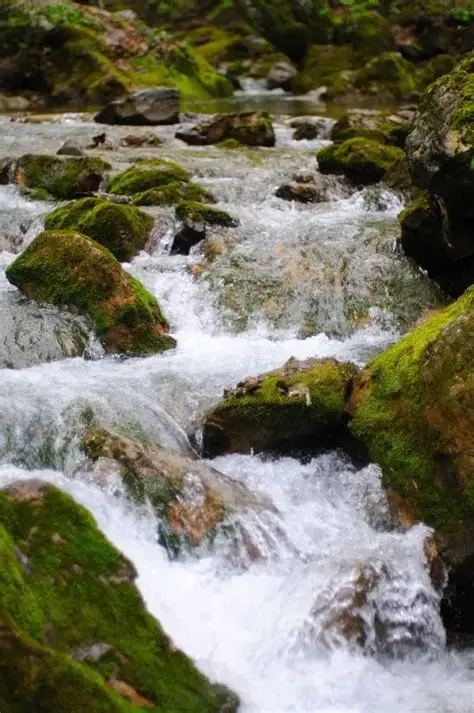 pietra nel fiume che scorre