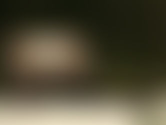 Romania's Wilderness: how to enjoy it safely