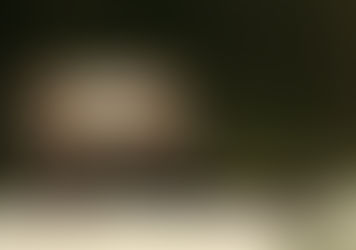 Romania's Wilderness: how to enjoy it safely