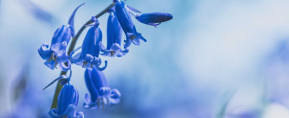 Screen Shot 2023-02-07 at 4.55.10 PM.png