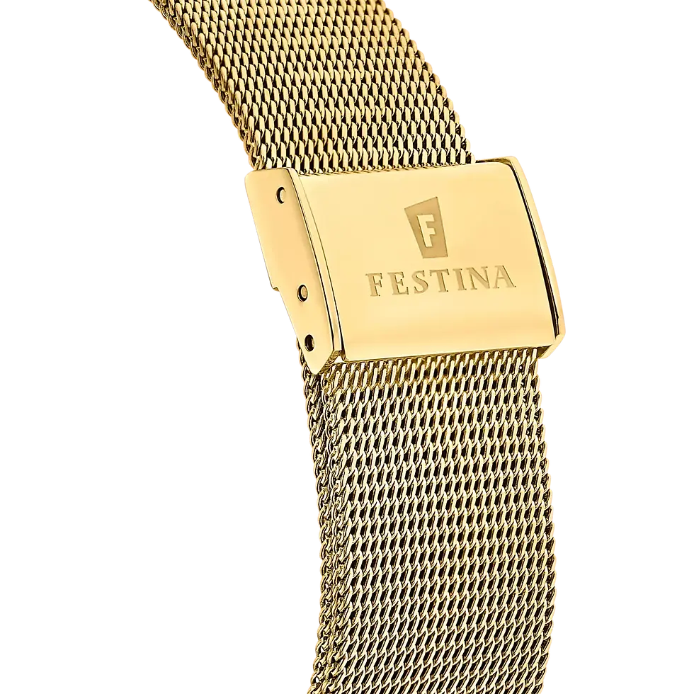 Miniature : Montre Festina  F20569/1