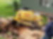 download.jpg