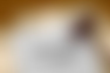 Social Security Disability