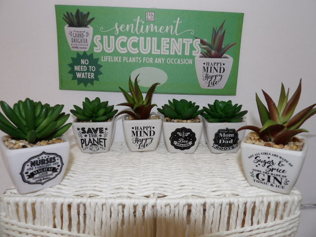 Thumbnail: Sentiment Succulents - No Water Needed