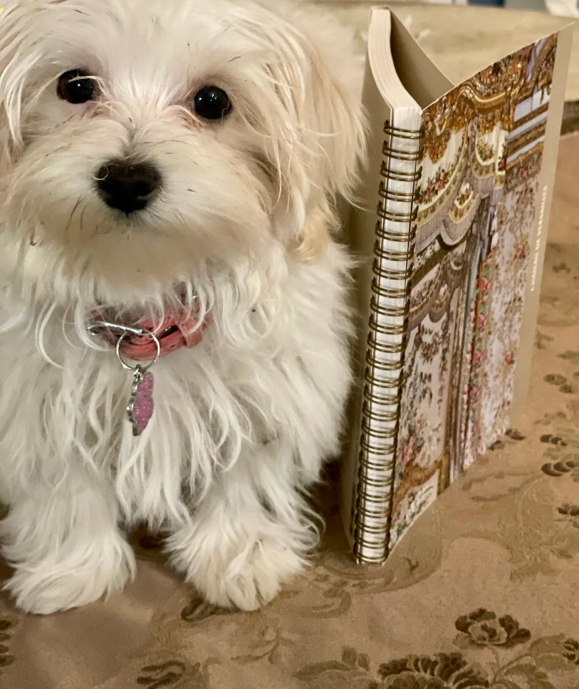 Cahier à spirales chic Marie-Antoinette