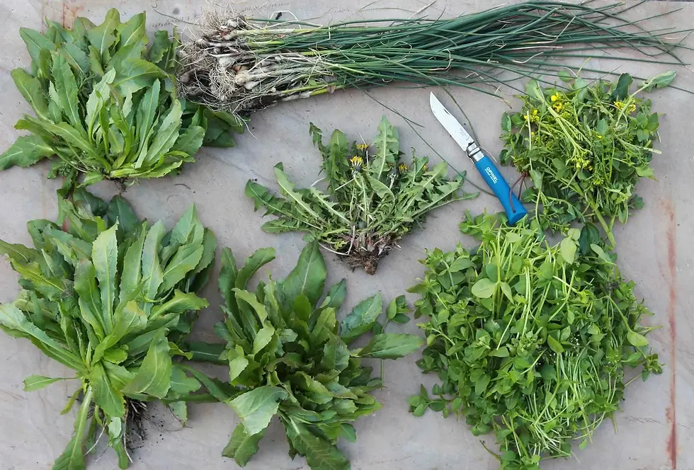 Tincture Workshop