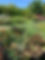 giardino 2022.jpg
