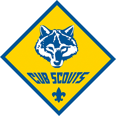 CubScout_4K.png