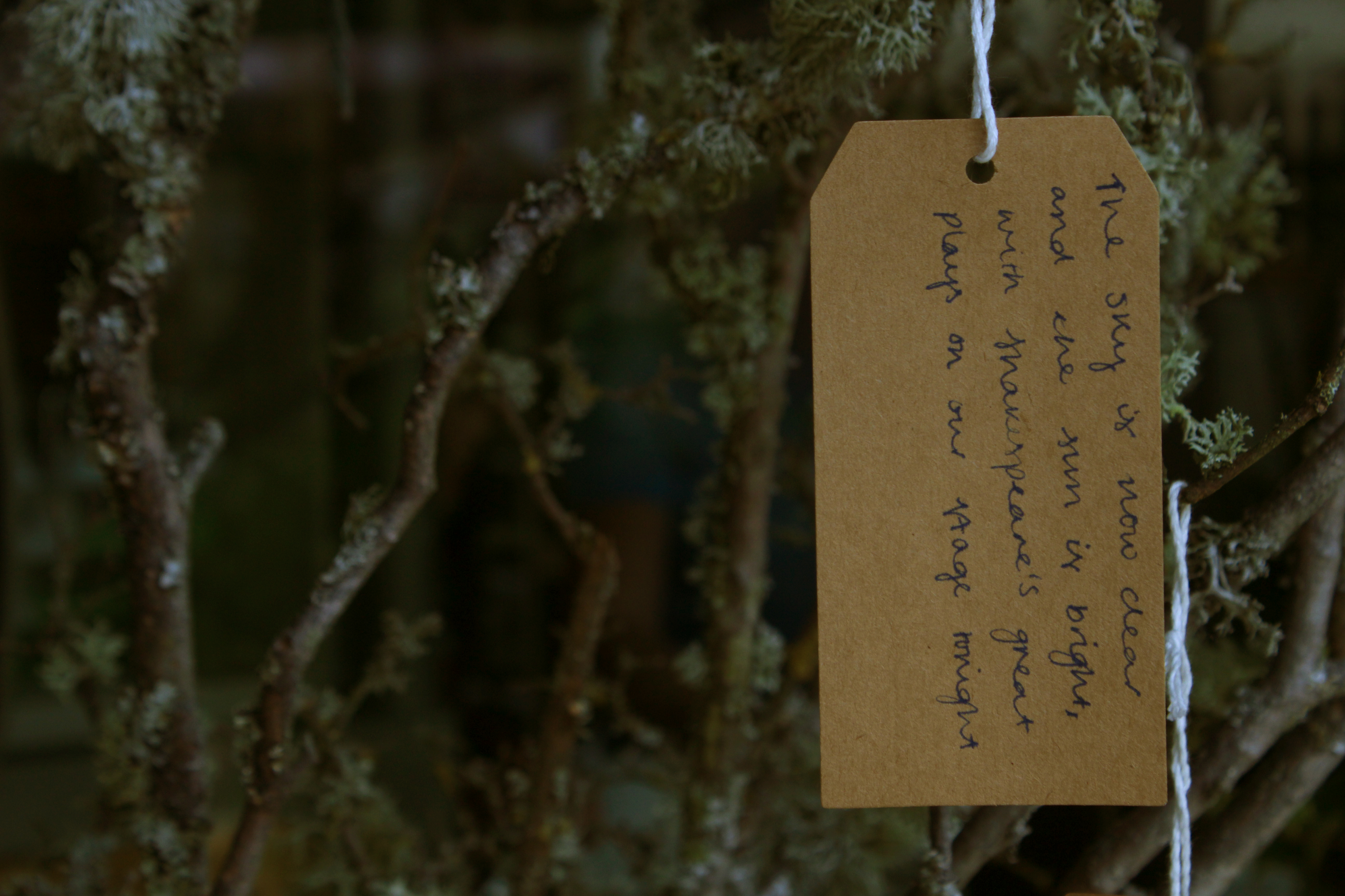 Sonnet Tree