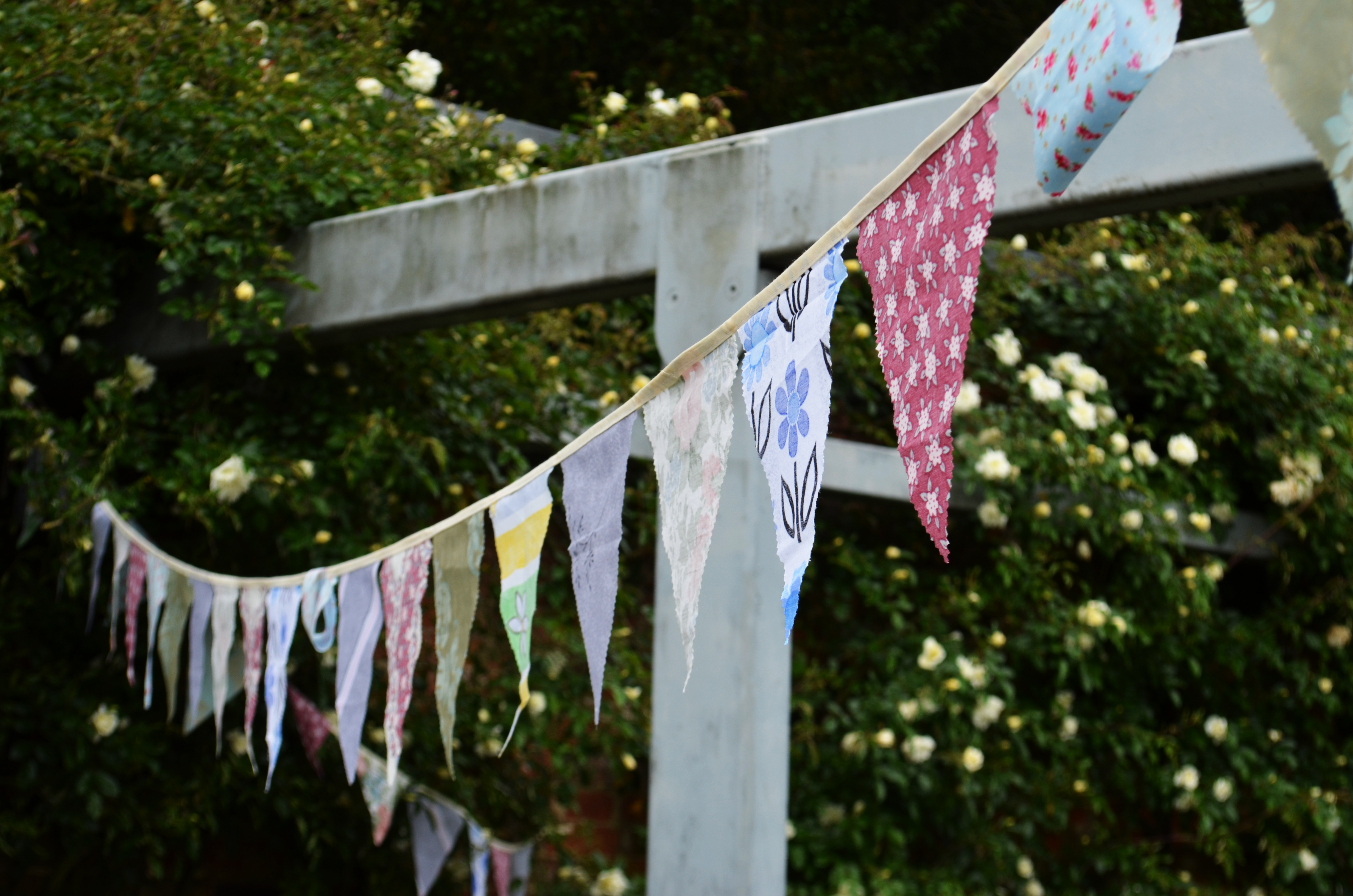 Bunting