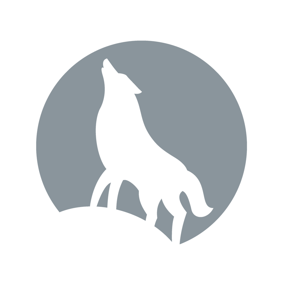 MOCANOX
