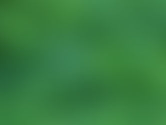 5 Irish Pubs to Celebrate St. Patrick’s Day in NYC