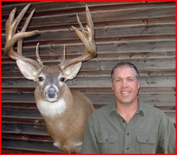 Typical White-tailed Deer (#3)