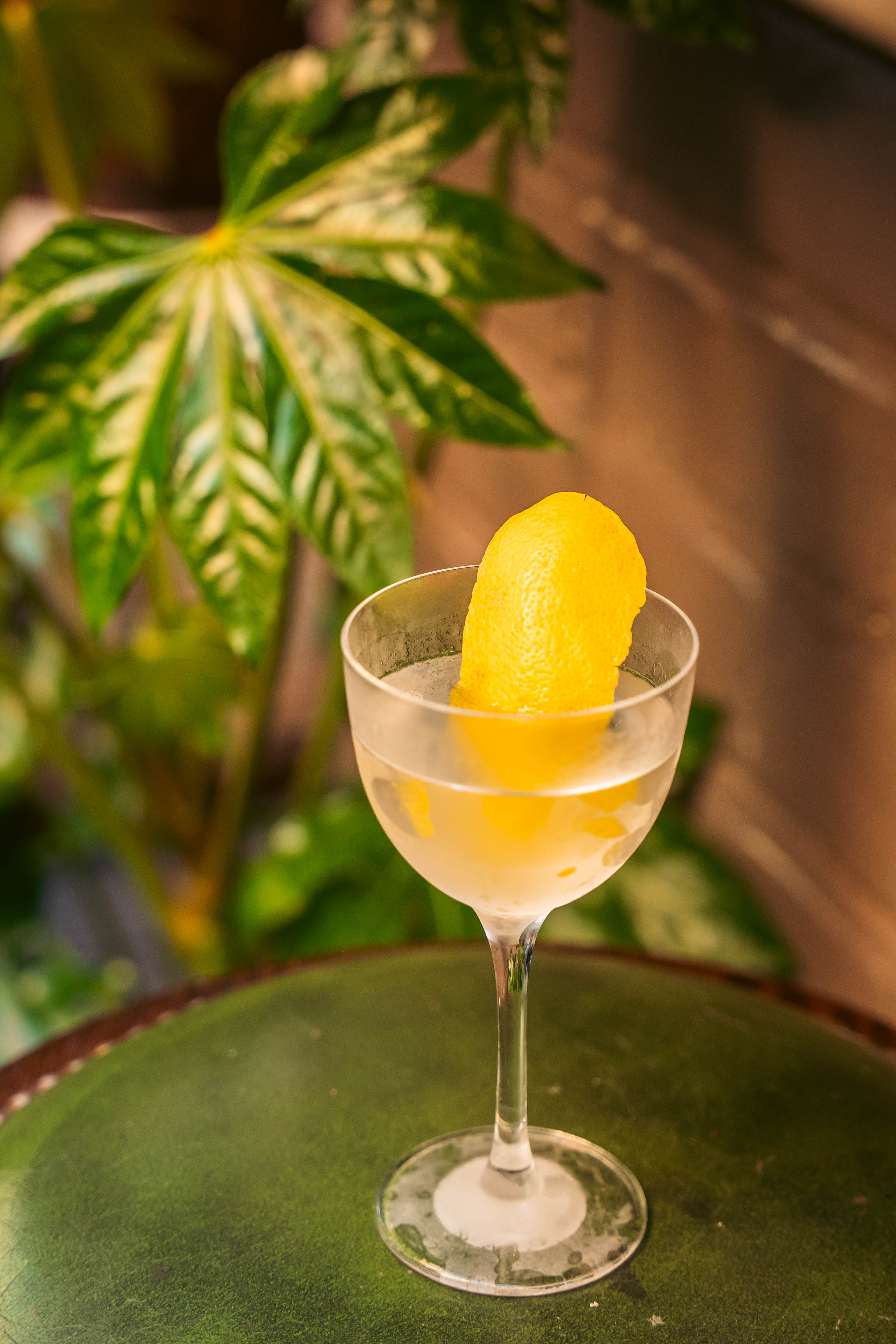 A fresh martini in an elegant glass with lemon zest garnish in a lush garden