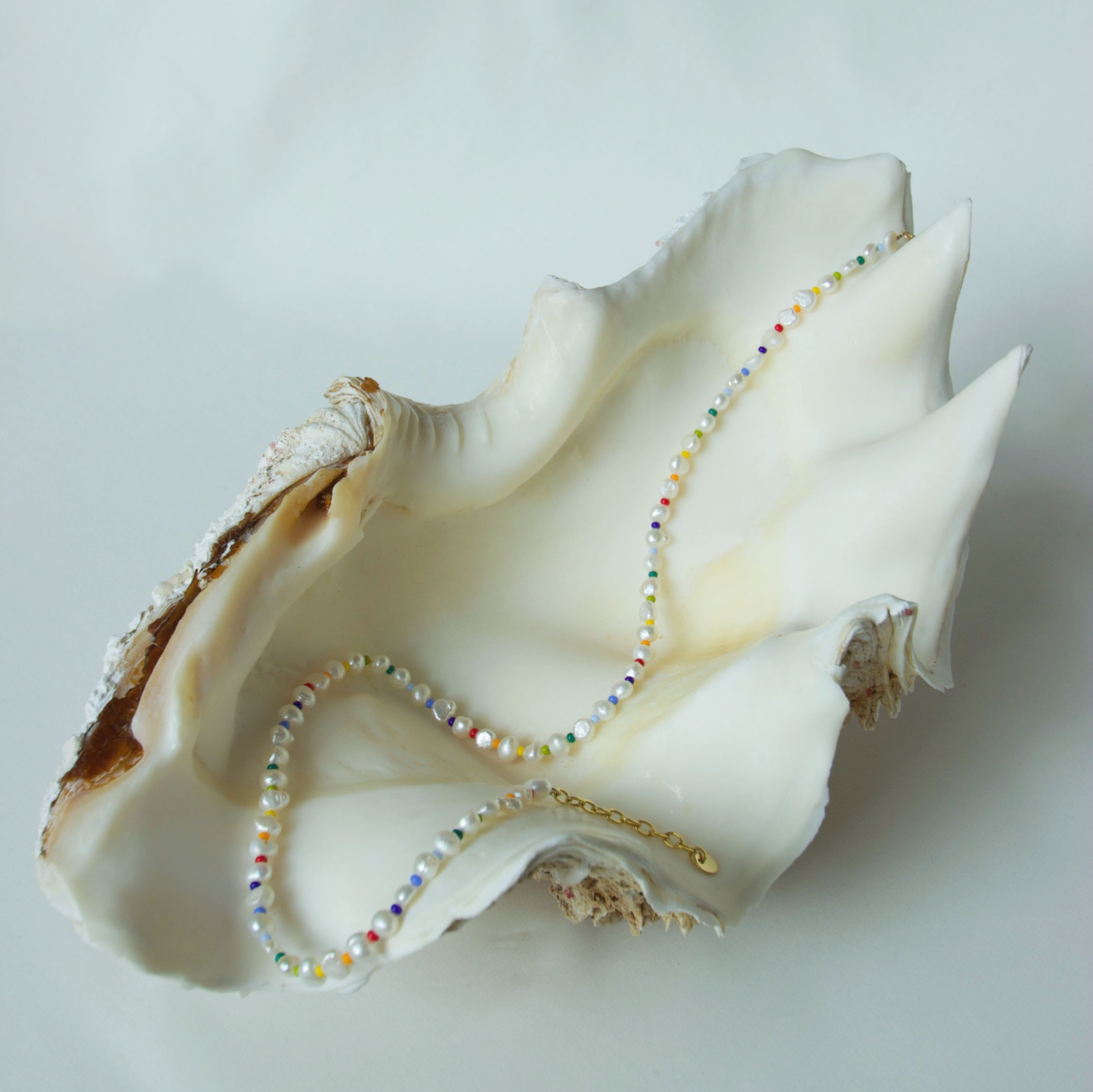 En muslingeskal med en regnbue ferskvandsperle halskæde på i guld.