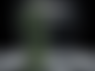 Trihalomethany: Chemický koktejl, který varem nezničíte