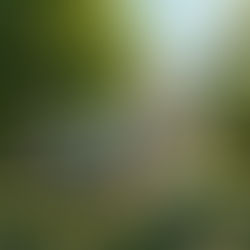 ¿Cómo construir tu carrera en tiempos inciertos y de inteligencia artificial, mientras diseñas tu vida? Te lo explico con una metáfora.