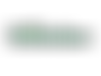 Ecolution: Gerakan Peduli Lingkungan oleh Mahasiswa Broadcasting and Digital Media Communication Batch 25 di Universitas LSPR