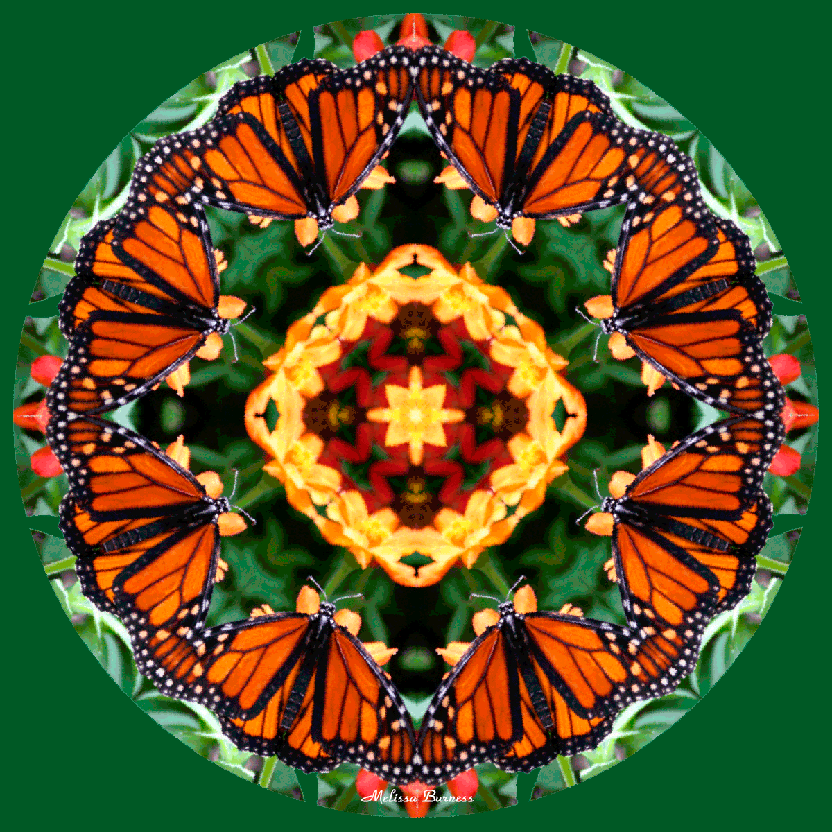 Summer-Solace-GIF.gif
