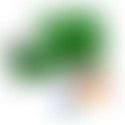 chocolate beans in van shaped eco packaging