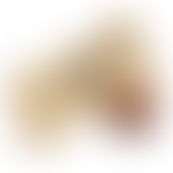 chocolate salted caramel fudge in gold packaging and one colour print