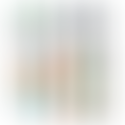 BIC full colour 4 colour pens