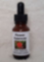 New Millennium Essences, customised flower essence blend, customized blend, In the Zone Healing