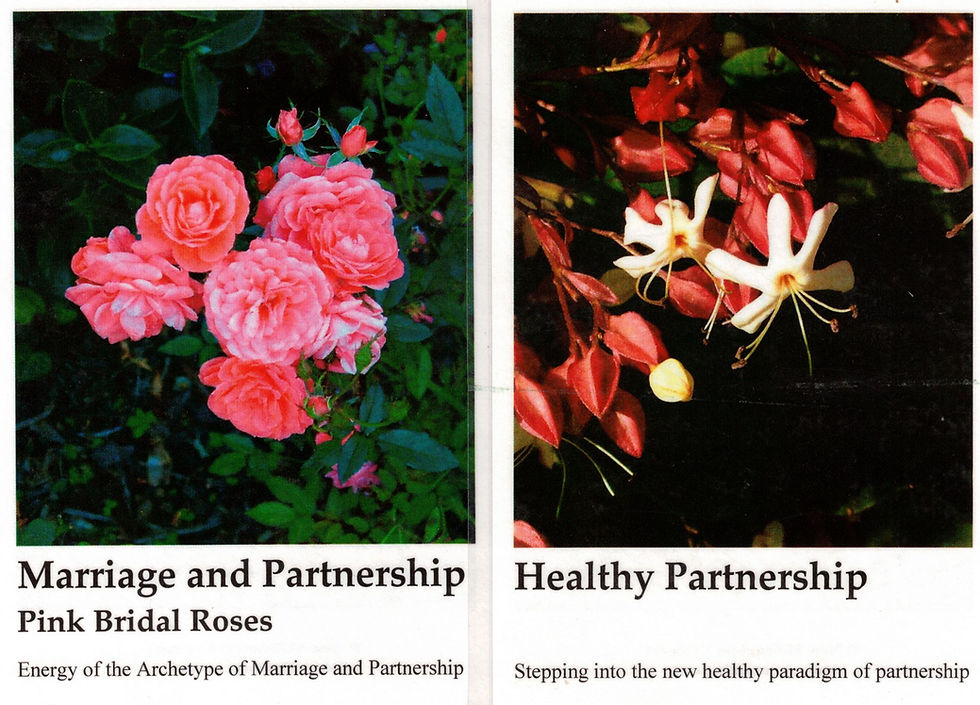 New Millennium flower essences for marriage and healthy partnership