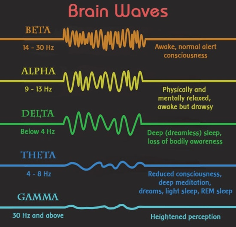 Brain waves states courtesy of Natural Medicine Center of Lakeland