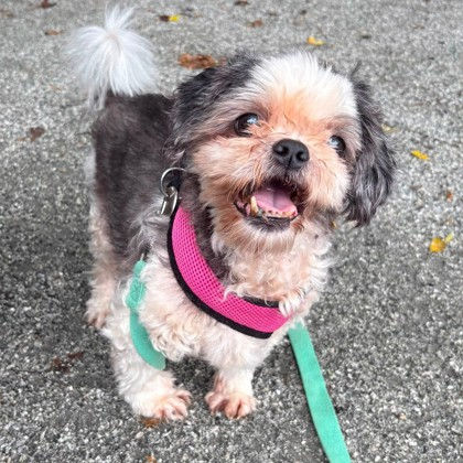 Melvin | Receiving Care