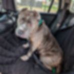 Susie | Receiving Care