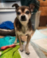 Theo | Hospice