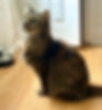 Sweetie | Receiving Care